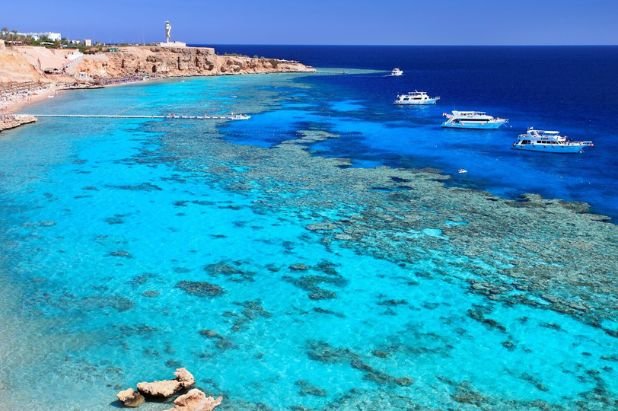 Add a little bit of body text (4)